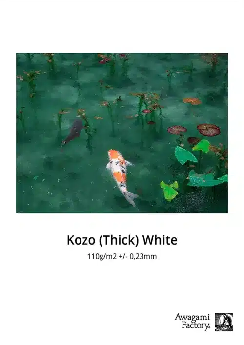 Productfoto van Awagami Kozo Thick 110gsm White