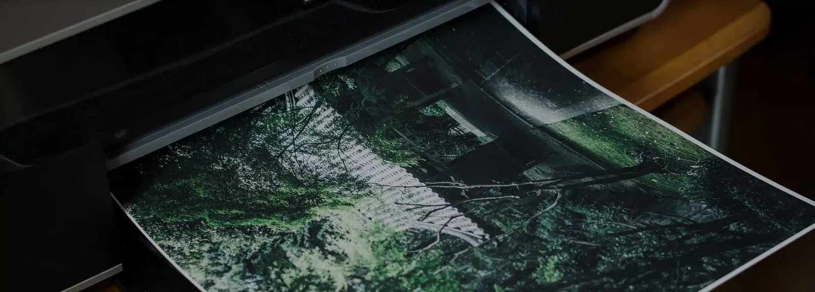 Een vel traditioneel Japans Awagami papier komt uit de printer met een print van een jungle.