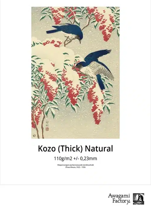 Productfoto van Awagami Kozo Thick 110gsm Natural